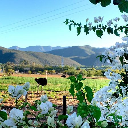 Berluda Farmhouse And Cottages เอาท์สโฮร์น ภายนอก รูปภาพ