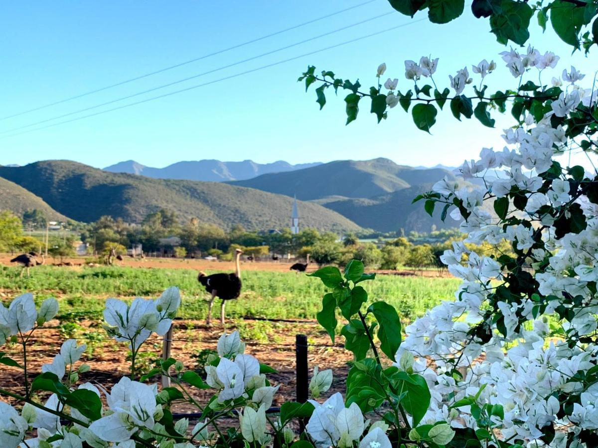 Berluda Farmhouse And Cottages เอาท์สโฮร์น ภายนอก รูปภาพ